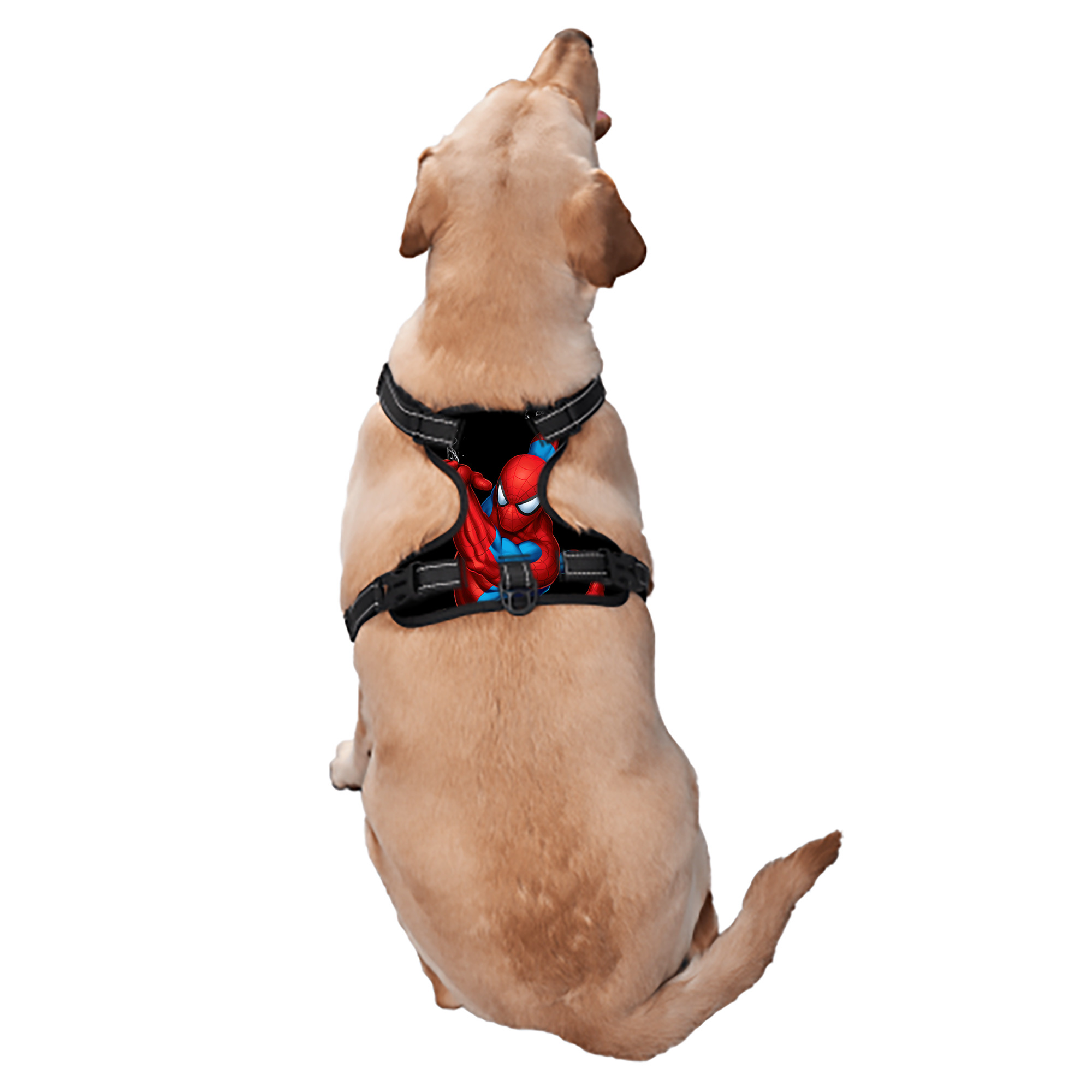 （画像用） Spider Man スパイダーマン ペット用ハーネス